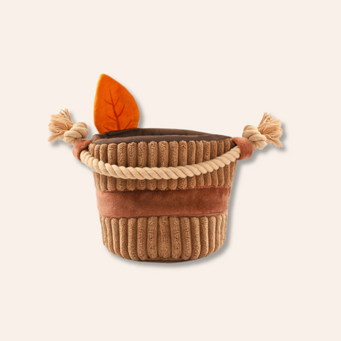 Apple Basket Interactive Toy