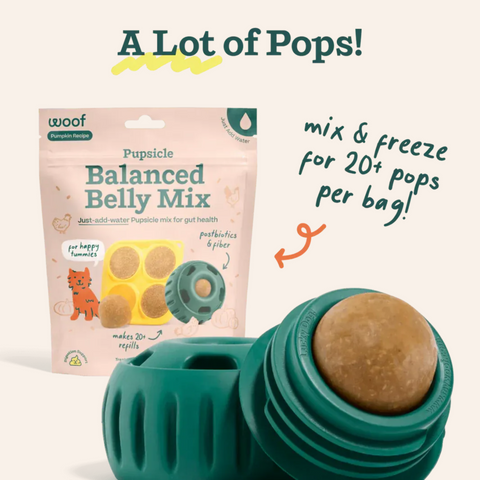 Woof Balanced Belly Pupsicle Treat Mix