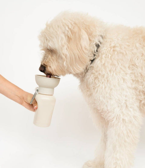 Dog Travel Water Bottle | Flip 20 oz