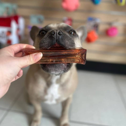 Collagen Dental Chew: Bacon