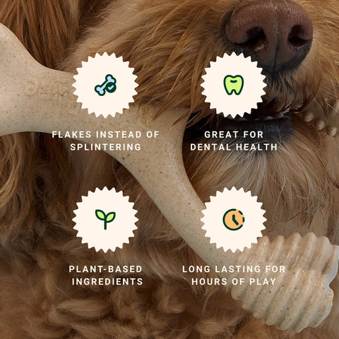 BetterBone Wishbone Moderate Density Chew Bone