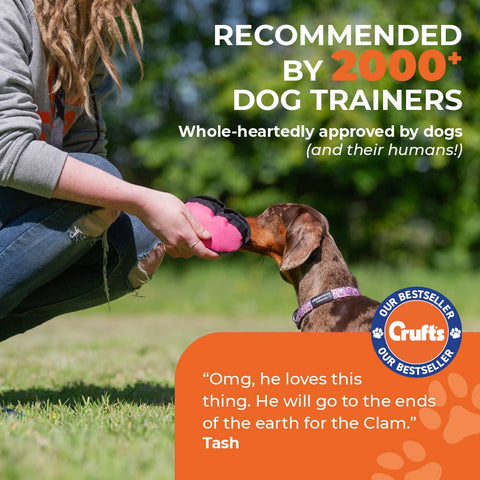 The Clam Treat Toy: Orange & Blue