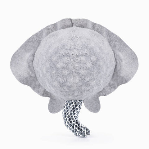 Stingray Floating 2-in-1 Dog Ball Toy