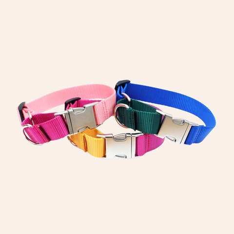 Custom Two-Toned Nylon Martingale Quick Release Dog Collar