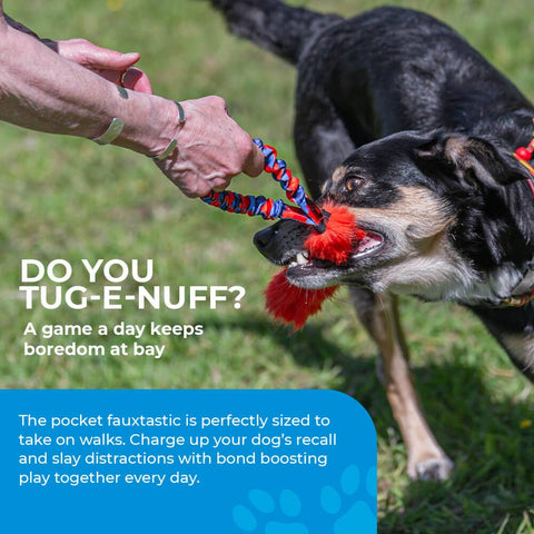 Pocket Fauxtastic Tug Toy: Green Pattern