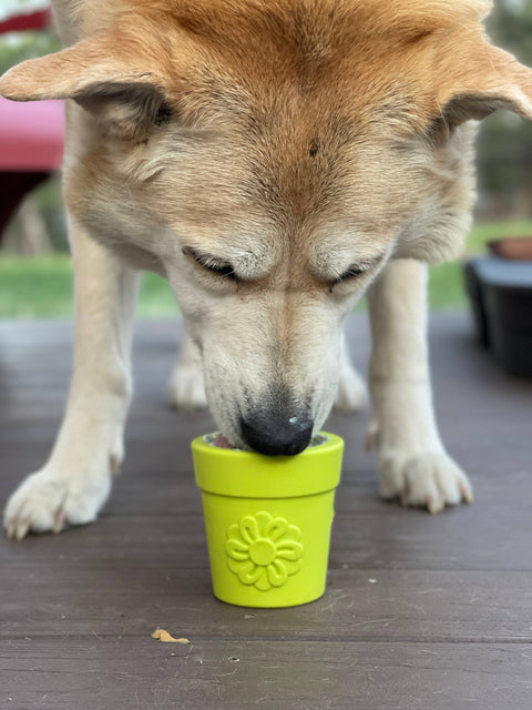 Flower Pot Durable Rubber Treat Dispenser & Enrichment