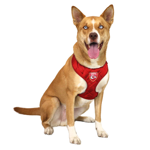 KC Chiefs Velvet Harness