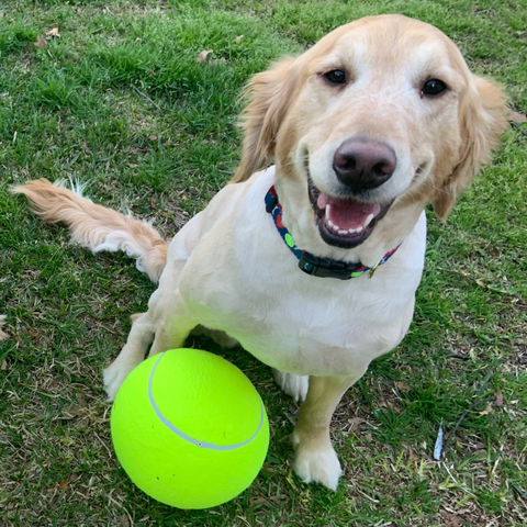 Jumbo Tennis Ball