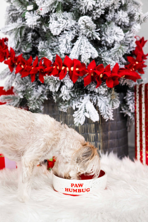 "Paw Humbug" Holiday Ceramic Dog Bowl