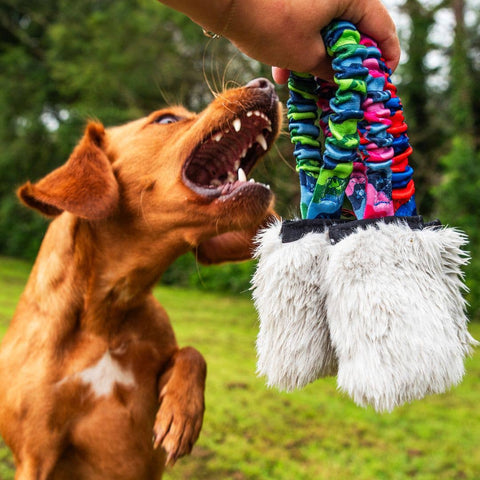 Pocket Bungee Squeaker: Orange Pattern