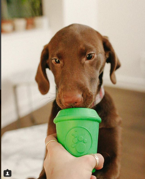 SodaPup Coffee Cup Durable Rubber Chew Toy and Treat Dispenser