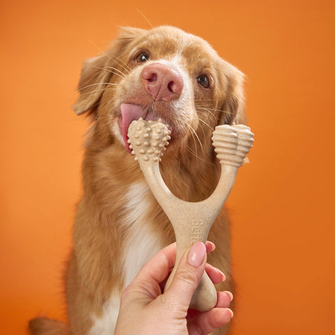 BetterBone HARD | Natural Nylon & Rawhide Alternative Chew Bone