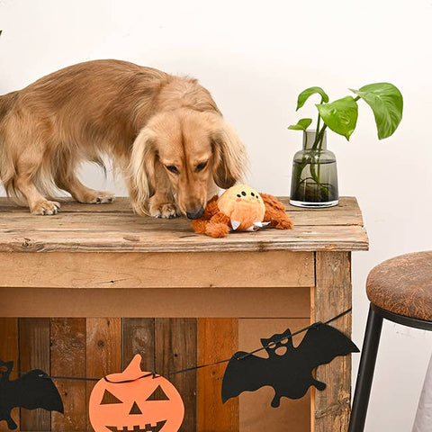 Spider Dog Ball Toy