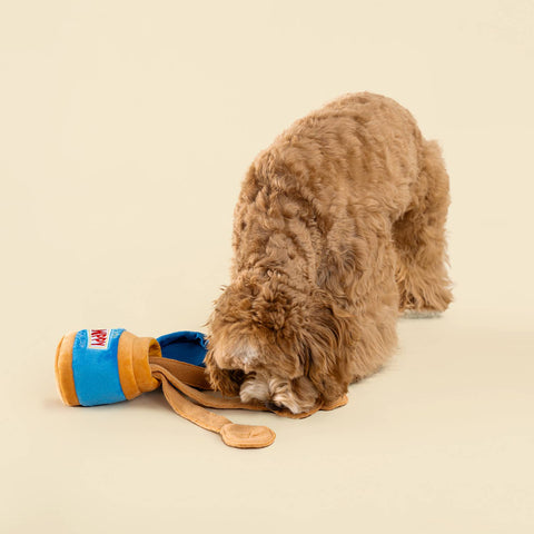 Peanut Butter Interactive Snuffle Toy