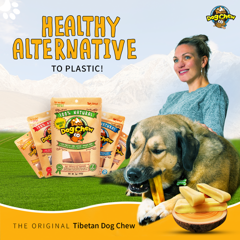 Tibetan Dog Chew for dogs under 100 lbs- Jumbo