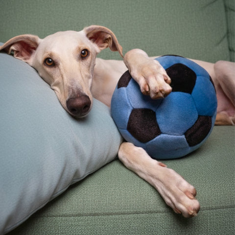 Blue Soccer Ball | Fluff & Tuff Dog Toy