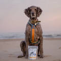 Suzie's 3 mg CBD Chicken Chips