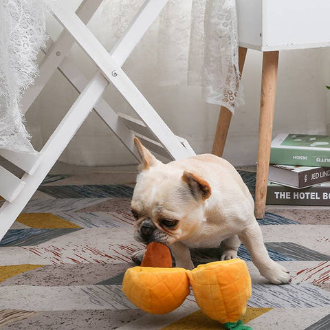 Pineapple Sloth Hide-a-Toy