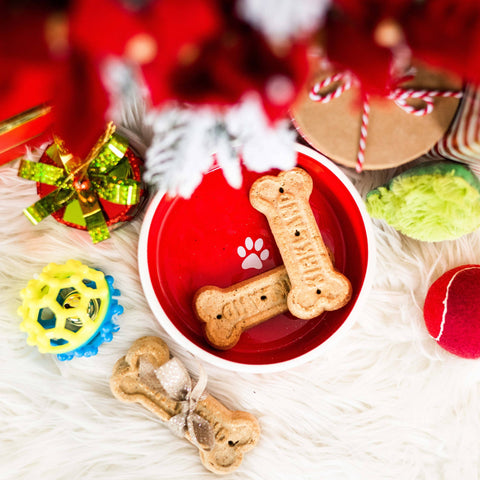 "Paw Humbug" Holiday Ceramic Dog Bowl