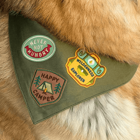 Happy Camper | Iron-On Patch For Dogs and Cats