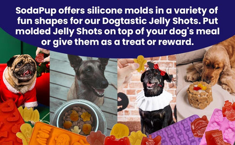 Dogtastic Jelly Shots - Mango Flavor