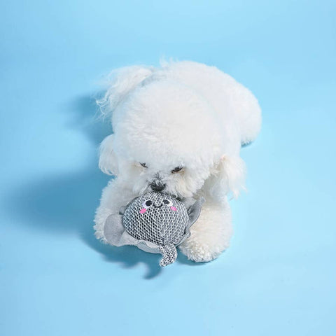 Stingray Floating 2-in-1 Dog Ball Toy