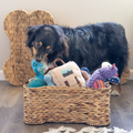 Loxley Pet Storage Basket | Woven Bone Shaped Toy Basket