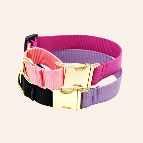 Custom Two-Toned Nylon Martingale Quick Release Dog Collar