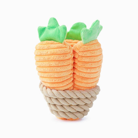 Happy Carrots Dog Toy