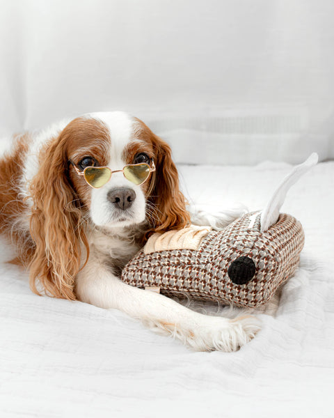 Typewriter Enrichment Snuffle Toy