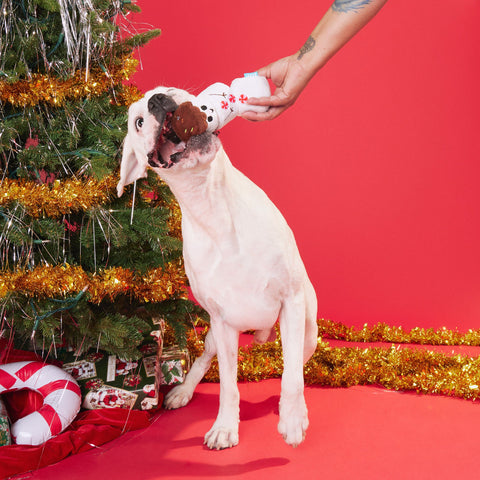 Frosty the S'moreman