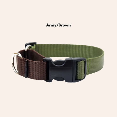 Custom Two-Toned Nylon Martingale Quick Release Dog Collar