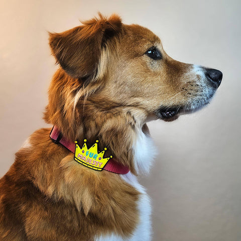 Fur Majesty Jiby Dog Charm