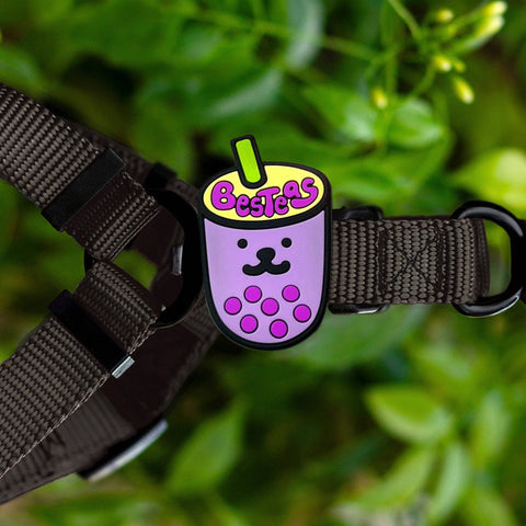 Boba Dog Jiby