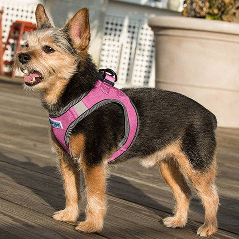 Liberty Bay Dog Harness: Pink Lemonade