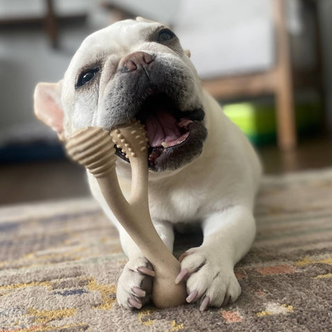 BetterBone HARD | Natural Nylon & Rawhide Alternative Chew Bone