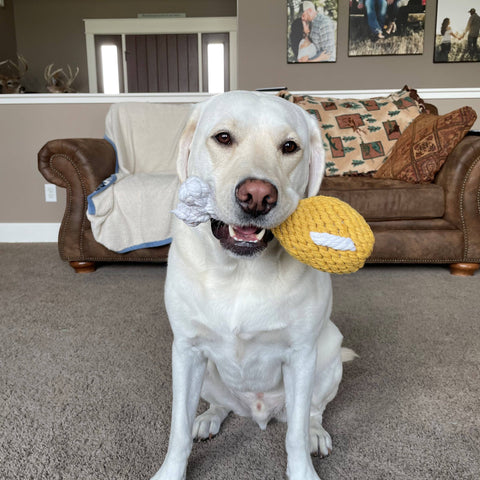 Chicken Drumstick 10" One Size Rope Toy