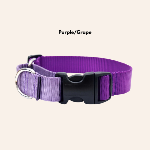 Custom Two-Toned Nylon Martingale Quick Release Dog Collar