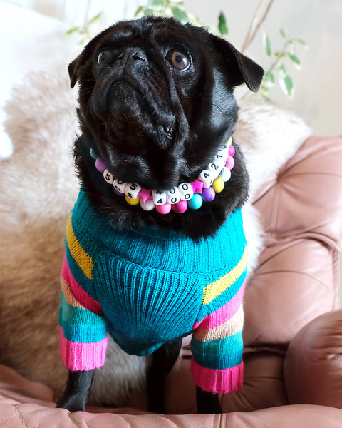 Custom Friendship Bracelet Dog Collar