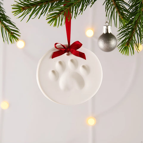 Holiday Paw Print Ornament Kit