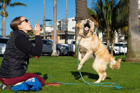 Peanut Butter Flavor Pet Safe Bubbles