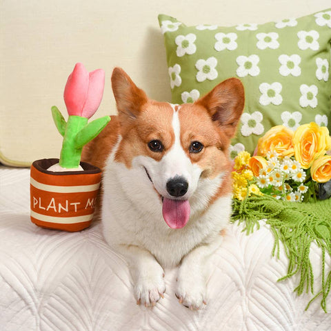 Spring Tulip Interactive Dog Toy