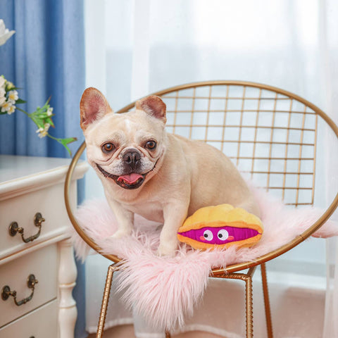 Clam 2-in-1- Dog Toy
