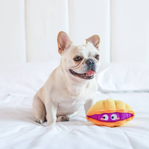 Clam 2-in-1- Dog Toy