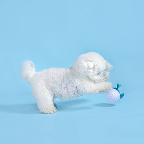 Dolphin Floating 2-in-1 Dog Ball Toy