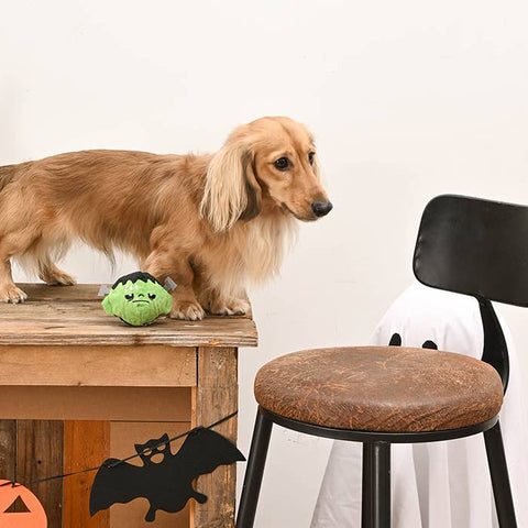Frankenstein Dog Ball Toy
