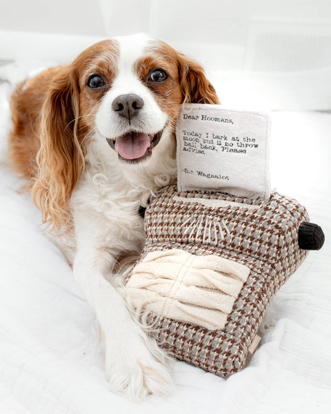 Typewriter Enrichment Snuffle Toy