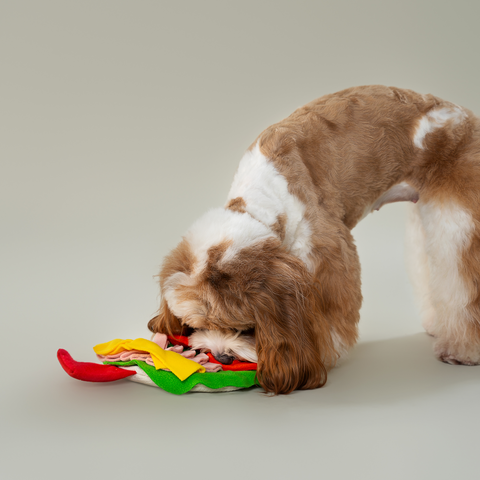 Burrito Interactive Snuffle Toy