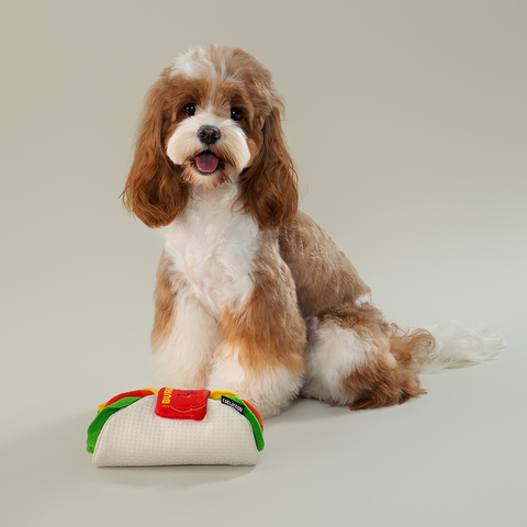 Burrito Interactive Snuffle Toy