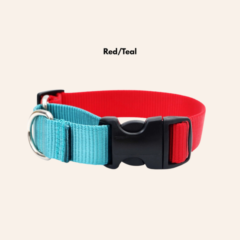Custom Two-Toned Nylon Martingale Quick Release Dog Collar